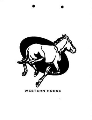 Playground Panels-Western Horse